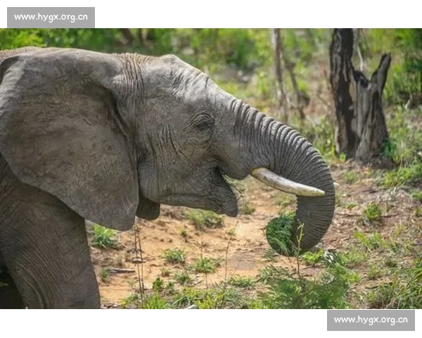 《小时代3：命运交错中的选择与成长，四个女人的心灵碰撞与未来之路》